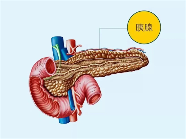 【世界胰腺癌日】關注胰腺癌，讓愛看得見